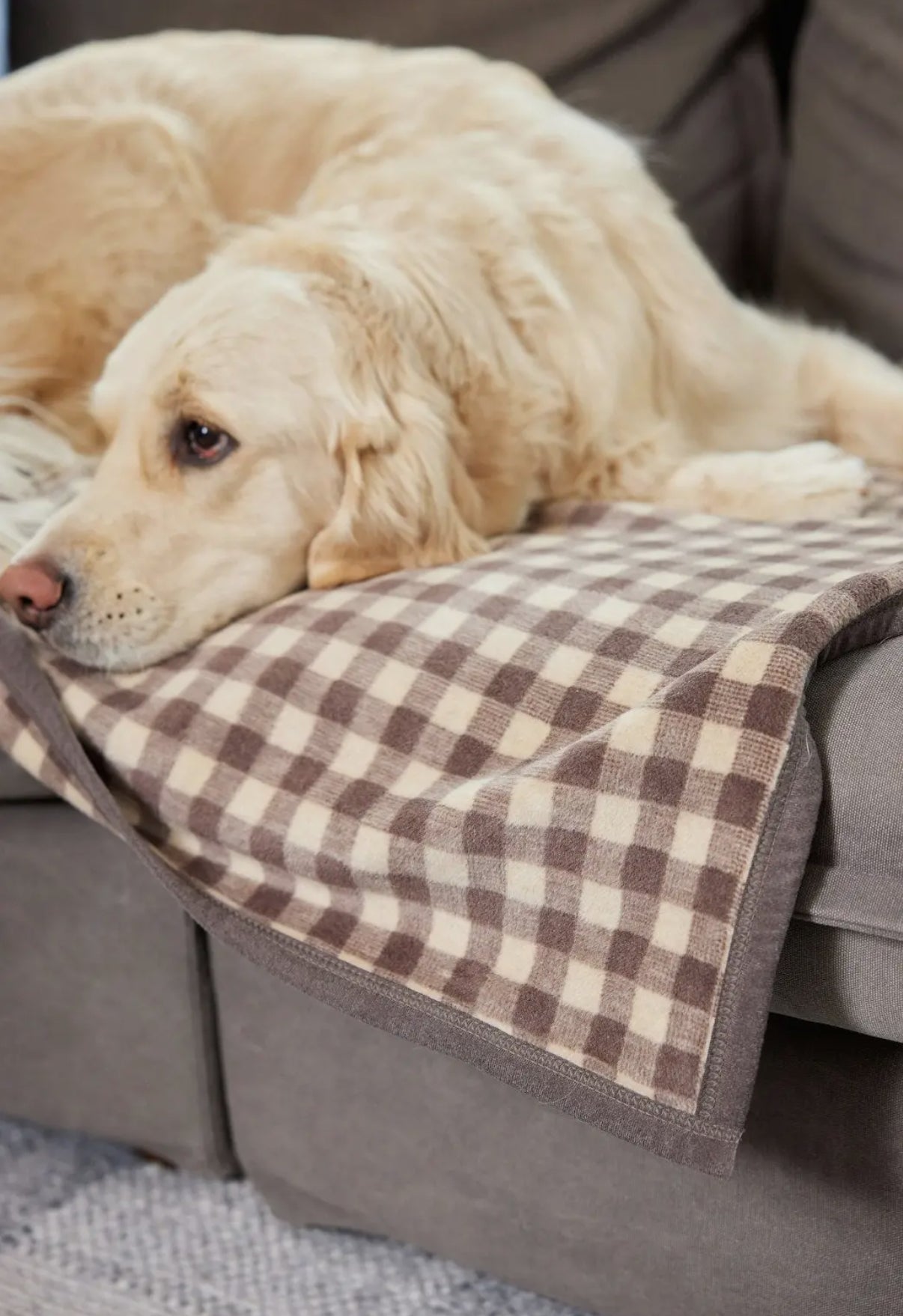 Mocha Midi Blanket