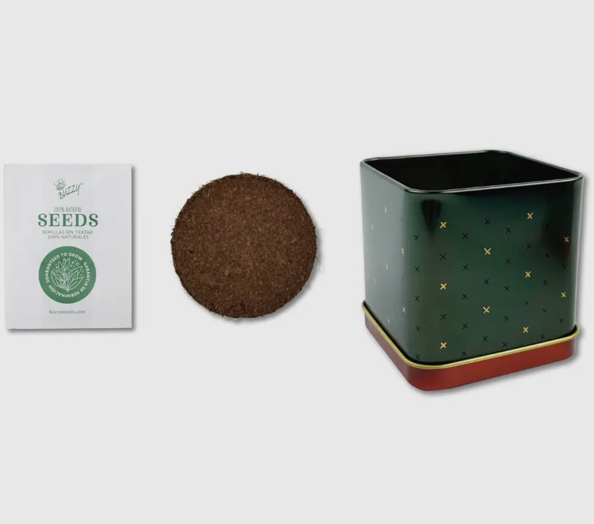 Spruce Tree | Grow Kit