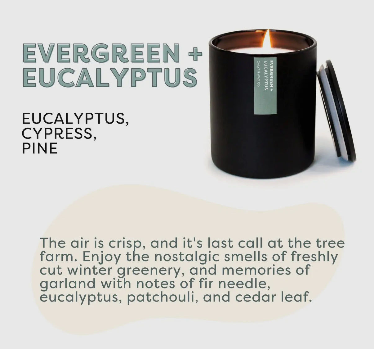 Evergreen + Eucalyptus Tumbler Soy Candle