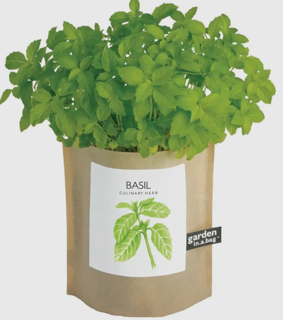 Basil | Garden in a bag
