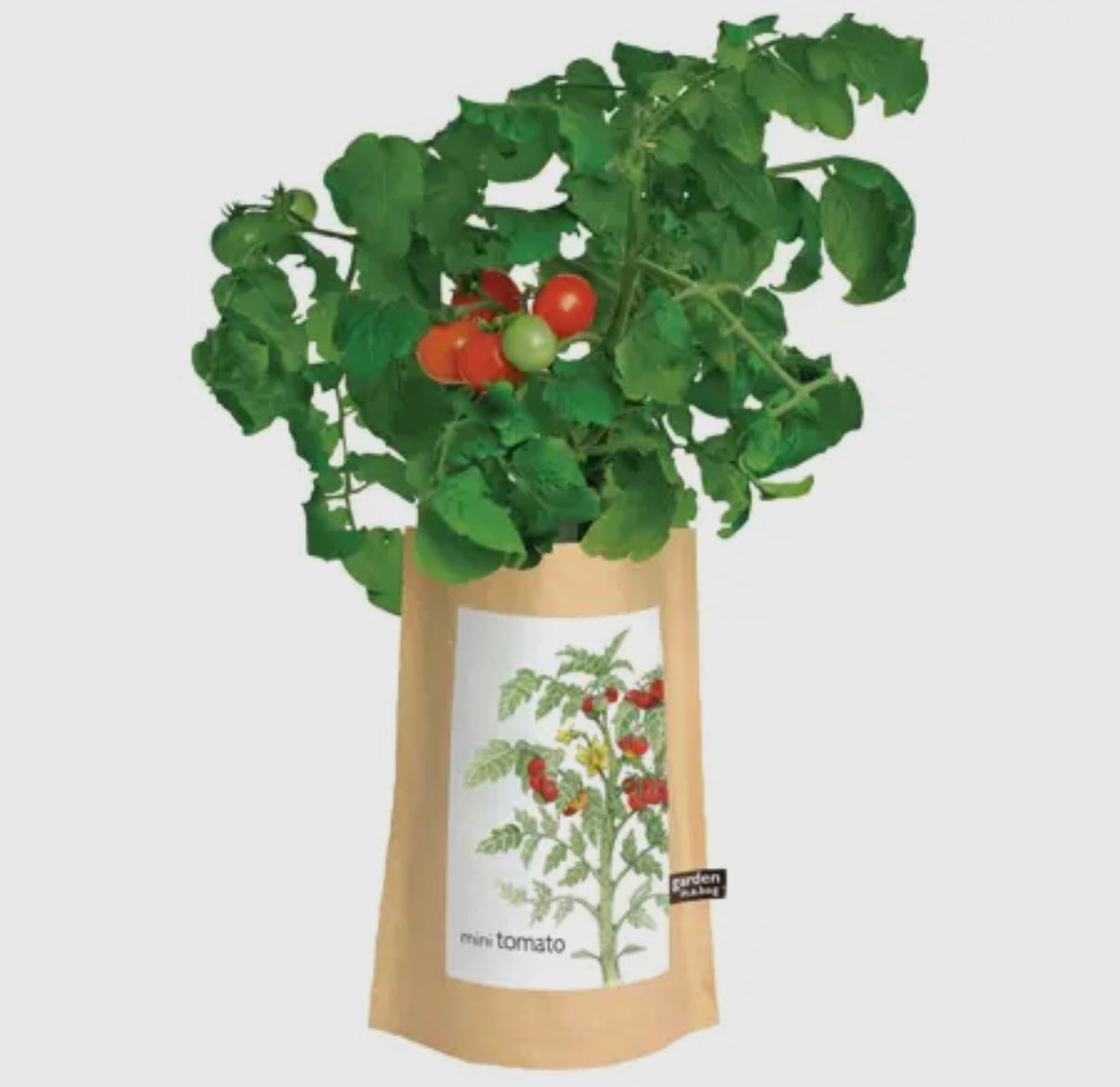 Tomatoes | Garden in a Bag