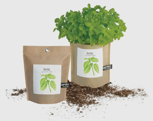 Basil | Garden in a bag