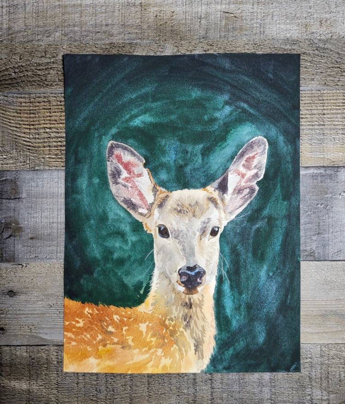Adirondack Watercolor Prints