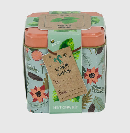 Mint | Grow Kit