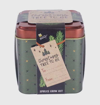 Spruce Tree | Grow Kit