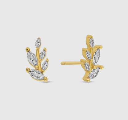 Evergreen Earrings