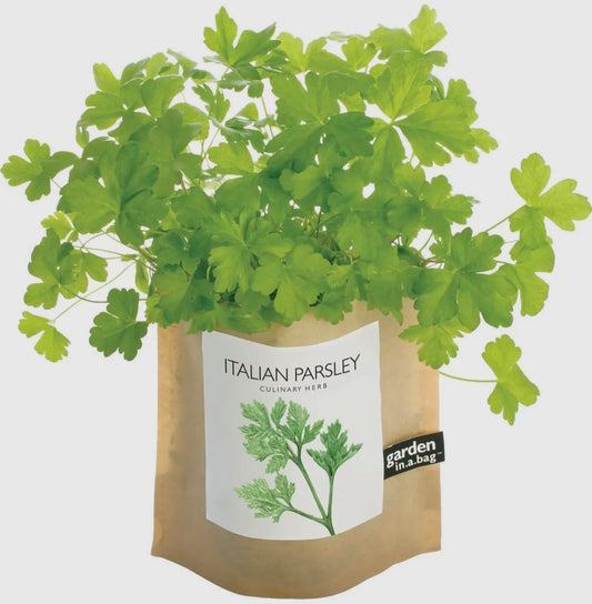 Italian Parsley | Garden in a Bag