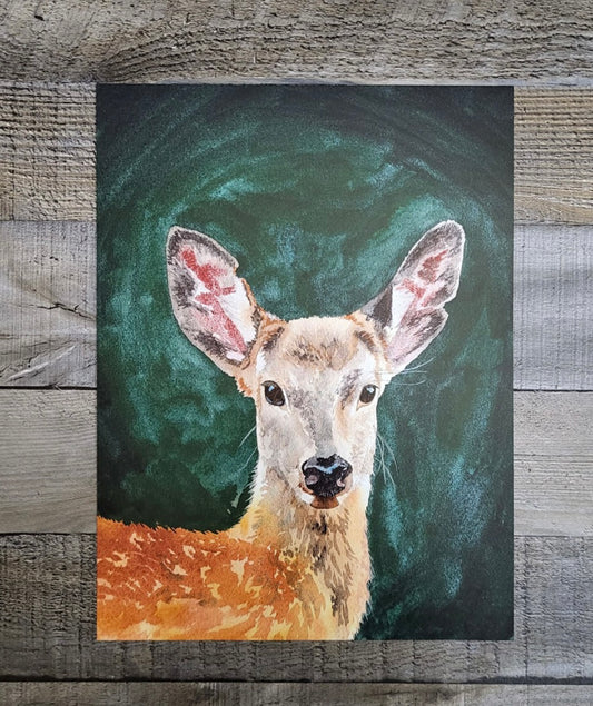 Woodland Fawn | Adirondack Watercolor Print