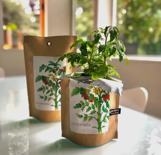 Tomatoes | Garden in a Bag